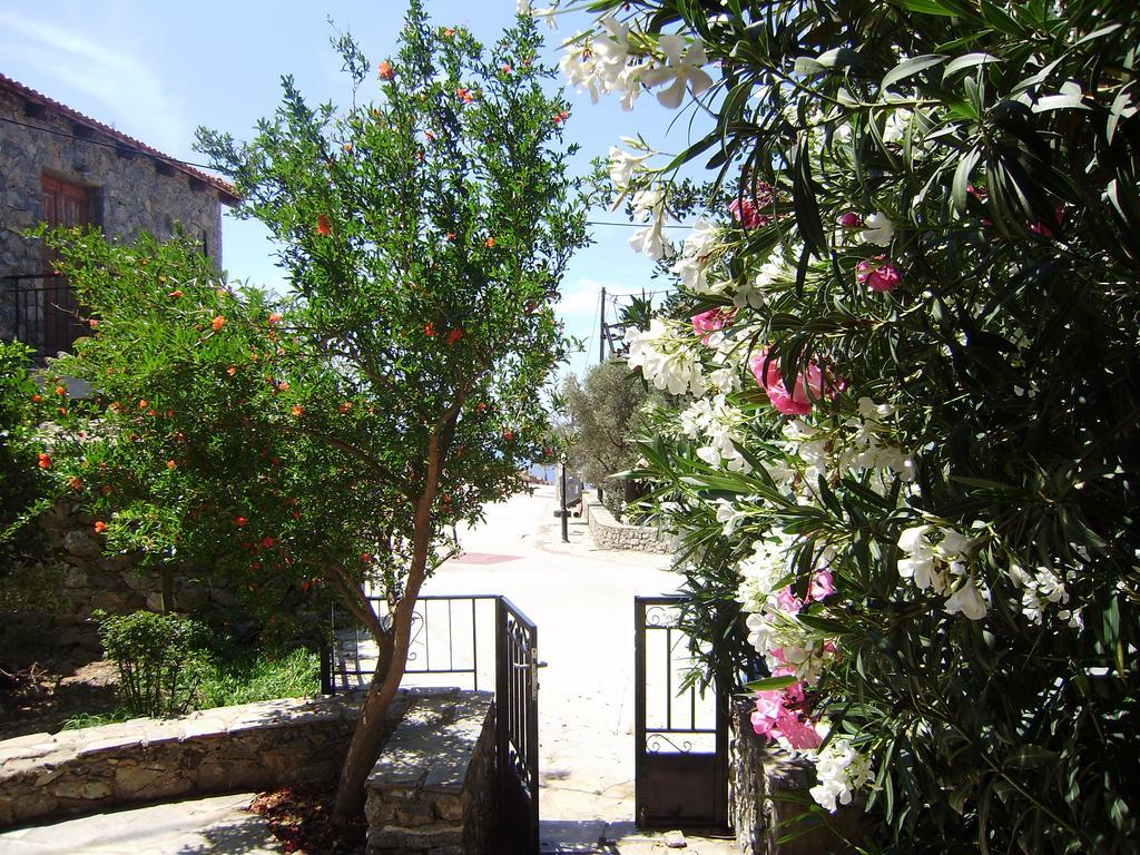 Villa Emilio'S House Agia Paraskevi  Exterior foto